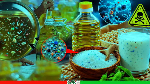 মাইক্রোপ্লাস্টিক, চরম শঙ্কার মুখে জনস্বাস্থ্য